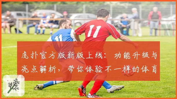 虎扑官方版新版上线：功能升级与亮点解析，带你体验不一样的体育社交互动