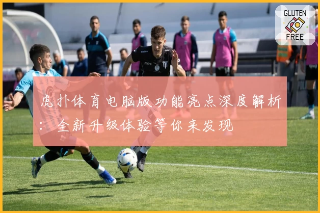 虎扑体育电脑版功能亮点深度解析：全新升级体验等你来发现