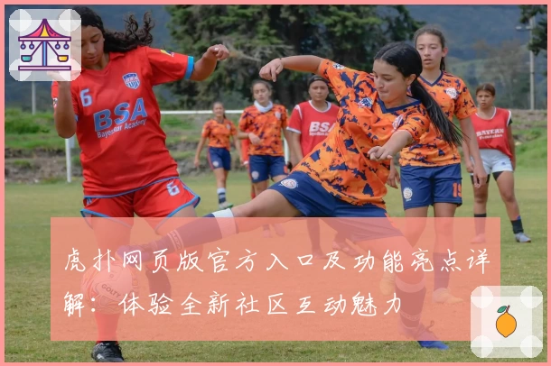 虎扑网页版官方入口及功能亮点详解：体验全新社区互动魅力