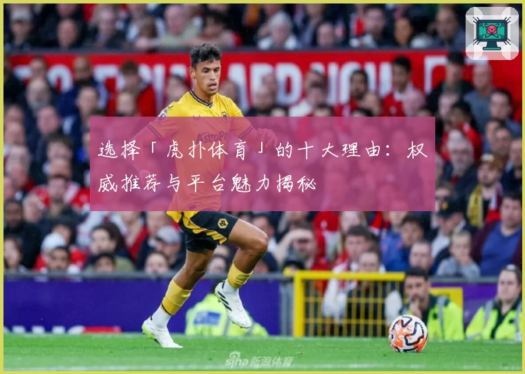 选择「虎扑体育」的十大理由：权威推荐与平台魅力揭秘